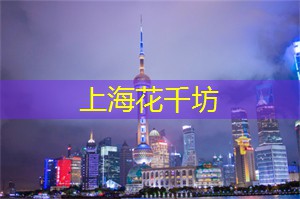 上海品茶网：夜游魔都，打卡最美的江边风景